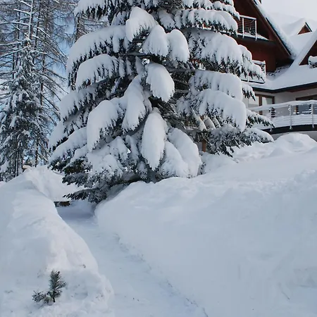 Bed & Breakfast Park 3*